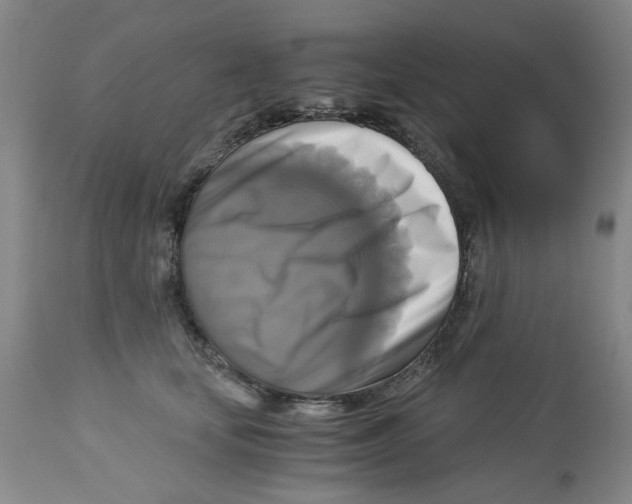 X0000113140659200910021441