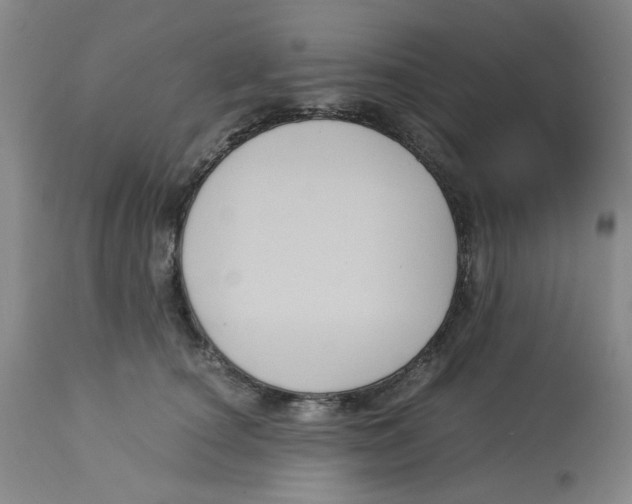 X0000113140660200910021441
