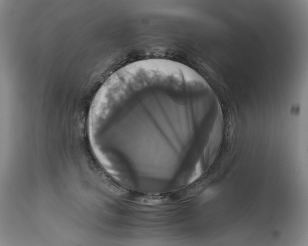 X0000113140661200910021441