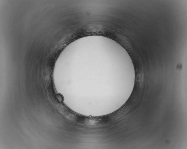 X0000113140662200910021441
