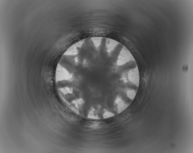 X0000113140663200910021441