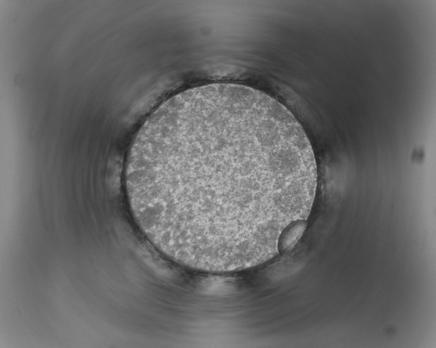 X0000113140664200910021441