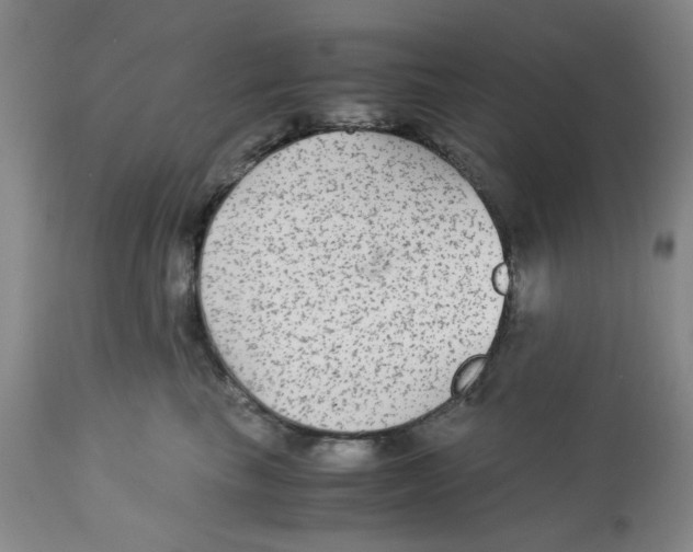 X0000113140665200910021441