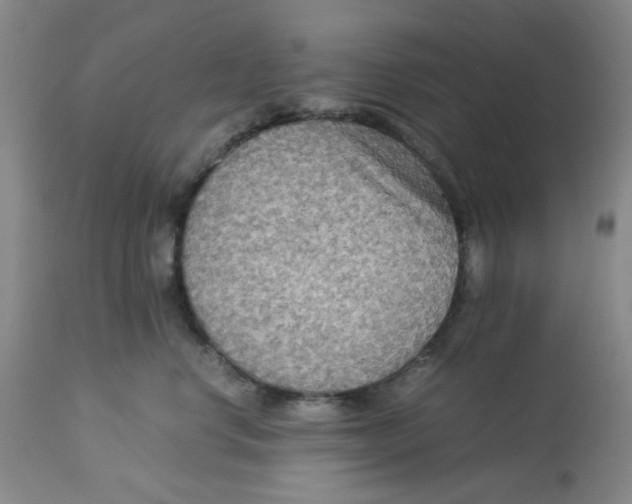 X0000113140668200910021441