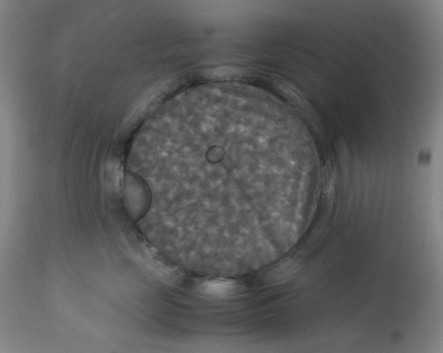 X0000113140669200910021441