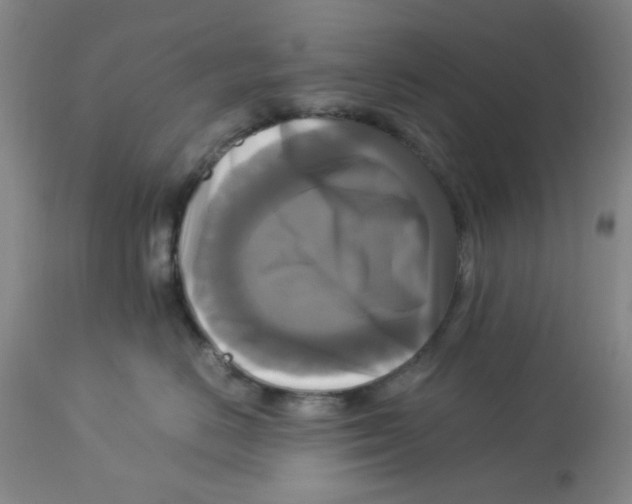 X0000113140670200910021441