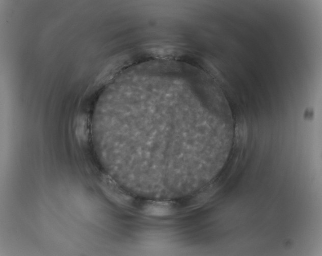 X0000113140671200910021441