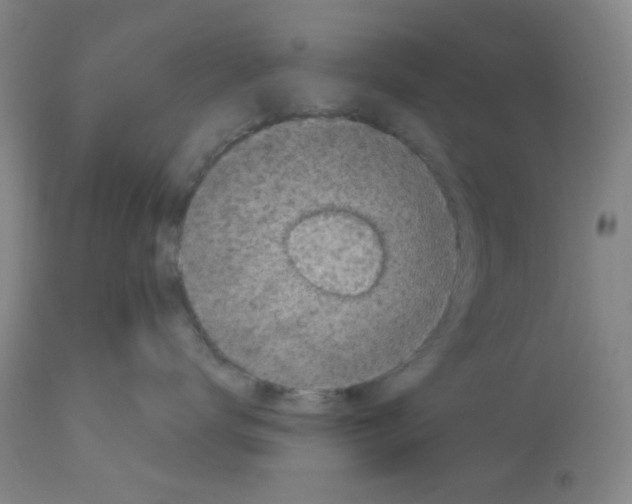 X0000113140672200910021441