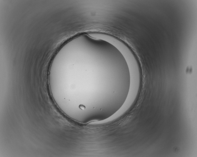 X0000113140673200910021440