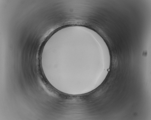 X0000113140674200910021440