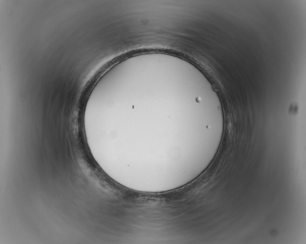 X0000113140676200910021440