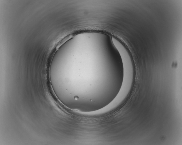 X0000113140677200910021440