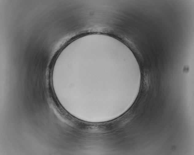 X0000113140678200910021440
