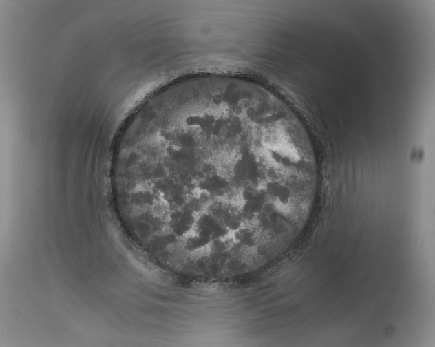 X0000113140679200910021440