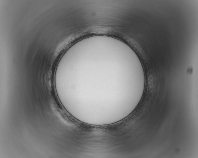 X0000113140682200910021440