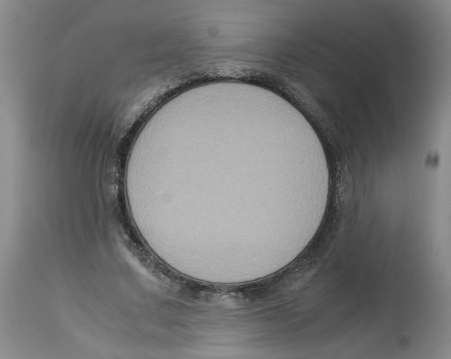 X0000113140683200910021440