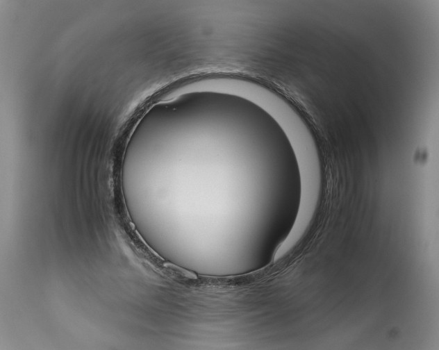 X0000113140684200910021440
