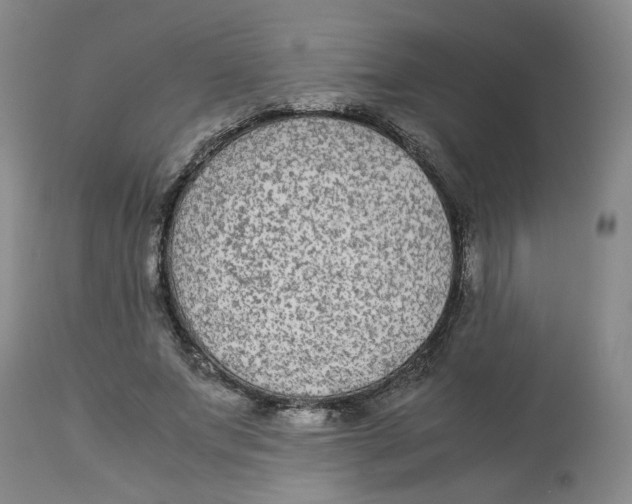 X0000113140687200910021440