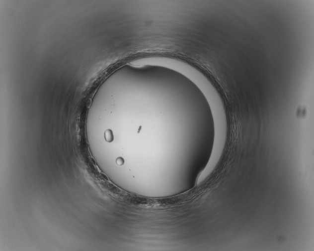 X0000113140688200910021440