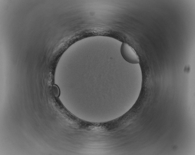 X0000113140689200910021440