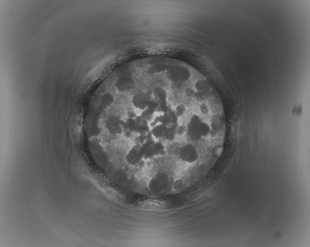 X0000113140691200910021440