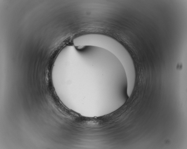 X0000113140692200910021440