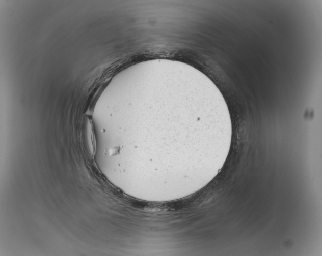 X0000113140693200910021440