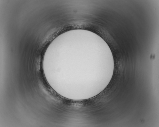 X0000113140694200910021440