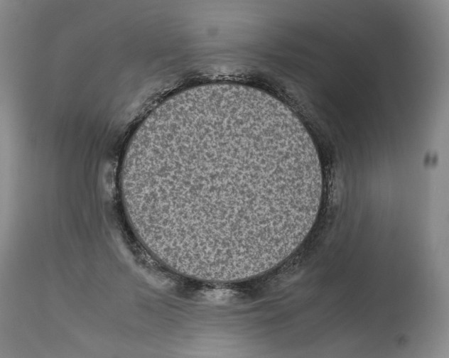 X0000113140695200910021440