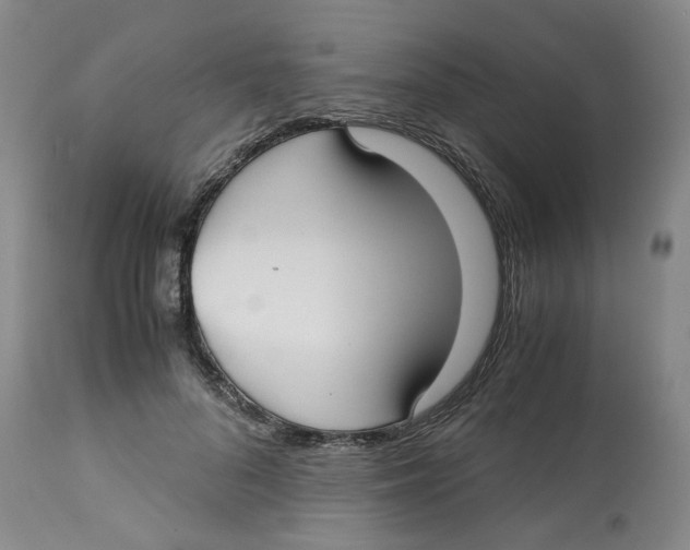 X0000113140696200910021440
