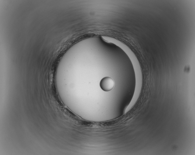 X0000113140697200910021440