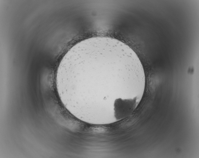 X0000113140698200910021440