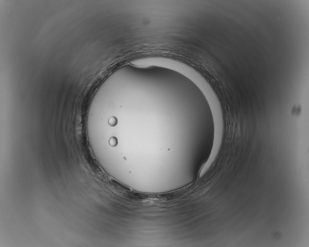 X0000113140700200910021440