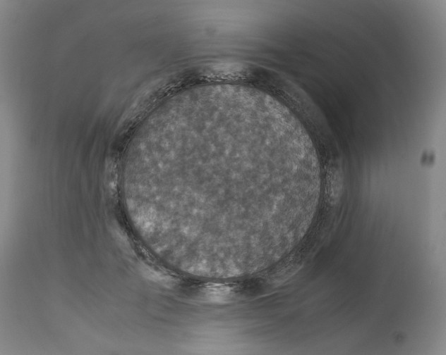 X0000113140701200910021440