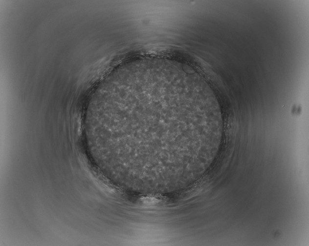 X0000113140703200910021440