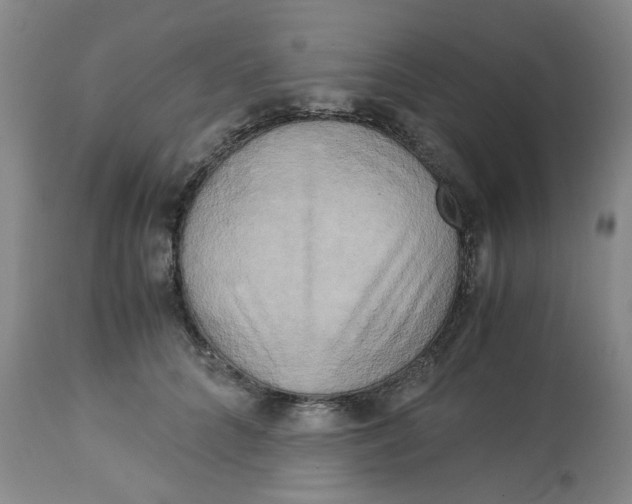 X0000113140704200910021440