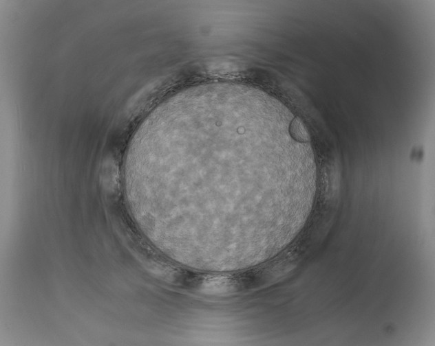 X0000113140705200910021440