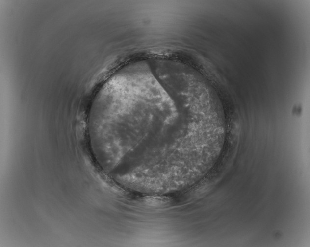 X0000113140707200910021440