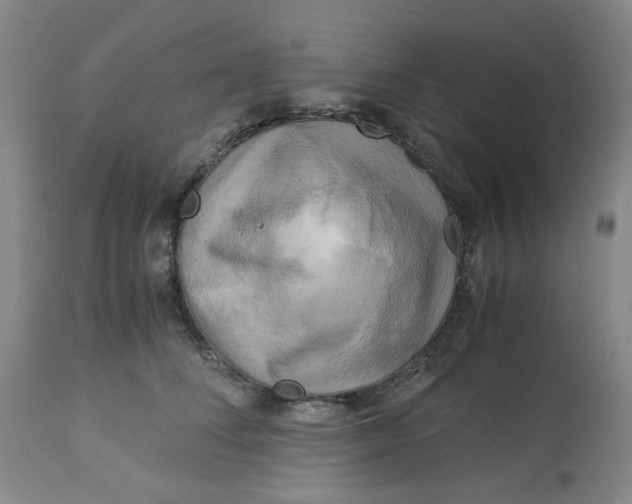 X0000113140708200910021440