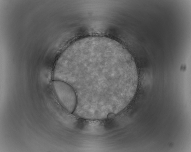 X0000113140709200910021440