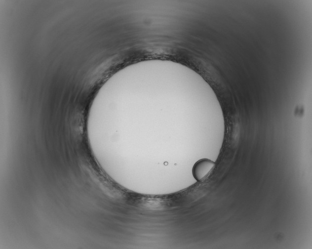 X0000113140710200910021440