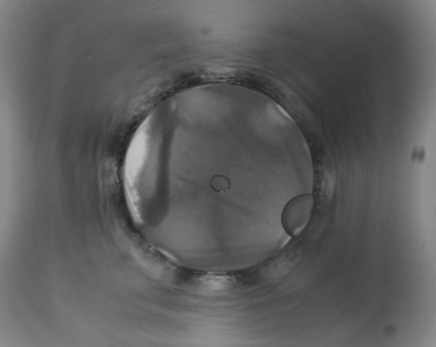 X0000113140711200910021440