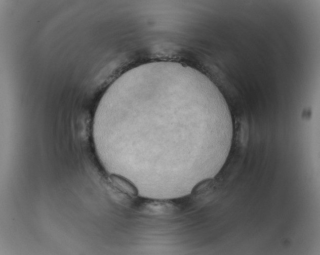 X0000113140712200910021440
