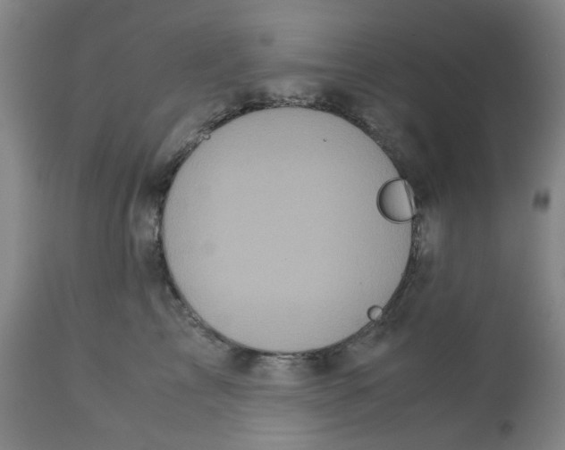 X0000113140713200910021440