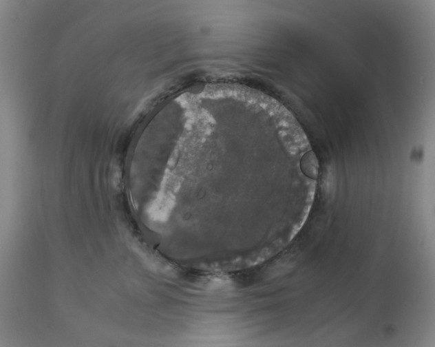 X0000113140715200910021440