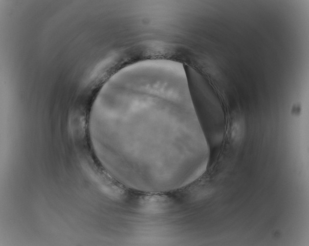 X0000113140716200910021440