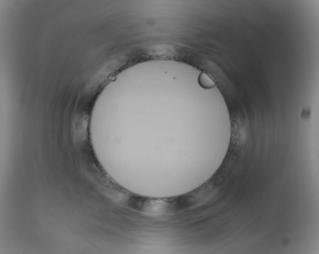X0000113140717200910021440