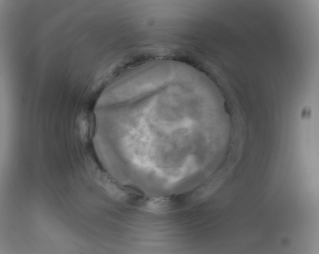 X0000113140720200910021440