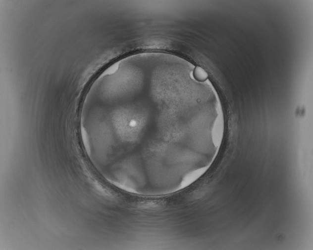 X0000113140721200910021439