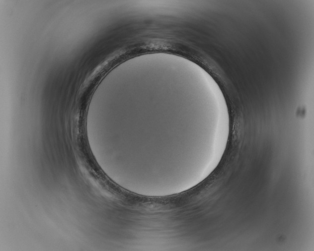 X0000113140722200910021439